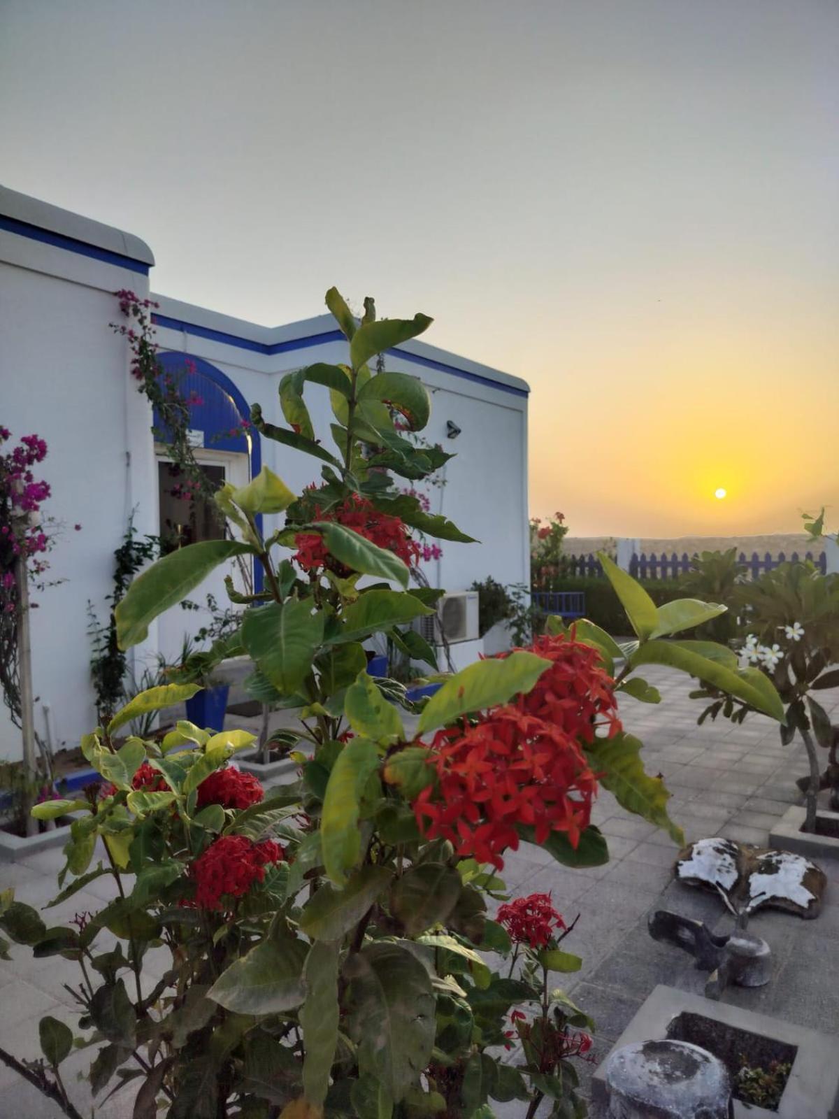 Al-Ashkhara Beach Resort منتجع شاطئ الأشخرة Al Sharqiyah Exterior foto