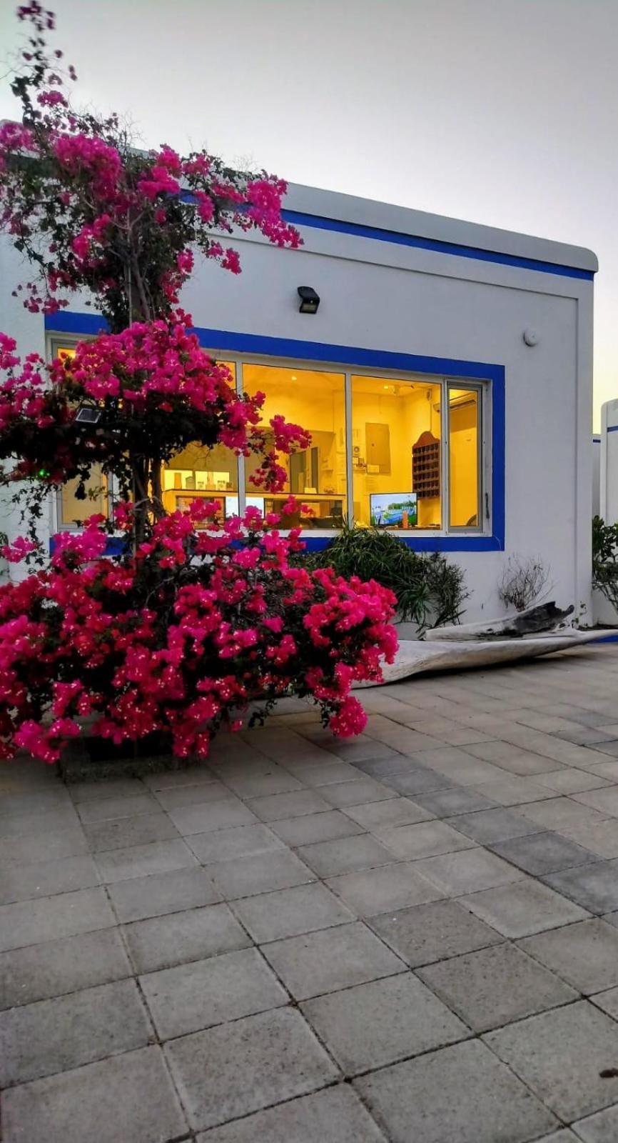 Al-Ashkhara Beach Resort منتجع شاطئ الأشخرة Al Sharqiyah Exterior foto